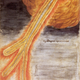 Illustration for article titled Stunning Depictions of Ancient Comets That Scared the Hell Out of Humans